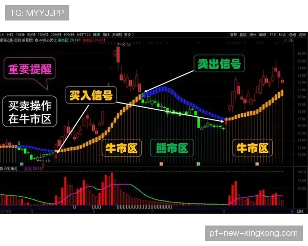 对线压制成为核心指标（459 ）
