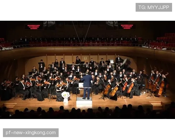 顶级乐团指挥律动呼吸的引导：他是如何通过身体姿态统一频率的（481 ）